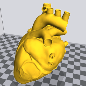 医疗教学人类心脏3d打印模型下载