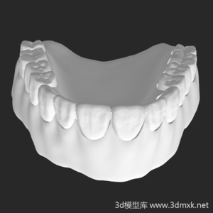 全口牙齿3d打印模型下载stl格式文件