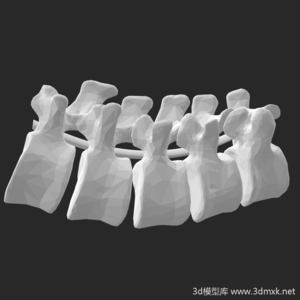 腰椎3d打印模型STL文件下载