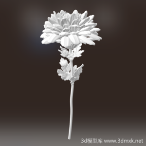 植物花朵翠菊3d打印模型素材下载